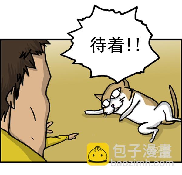 补充篇 [386话] 忠诚的猫咪10