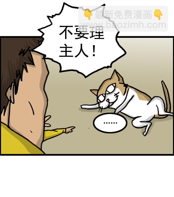 补充篇 [386话] 忠诚的猫咪11