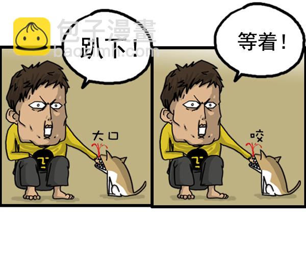 补充篇 [386话] 忠诚的猫咪6