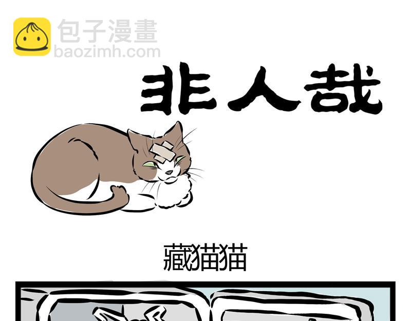 第25话 不要质疑我的审美！20