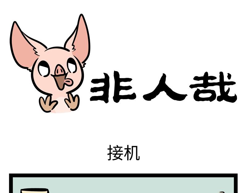 第164话 精致的猪猪精0