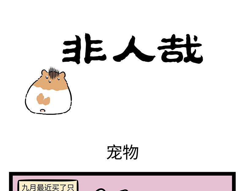 第419话 宠物0