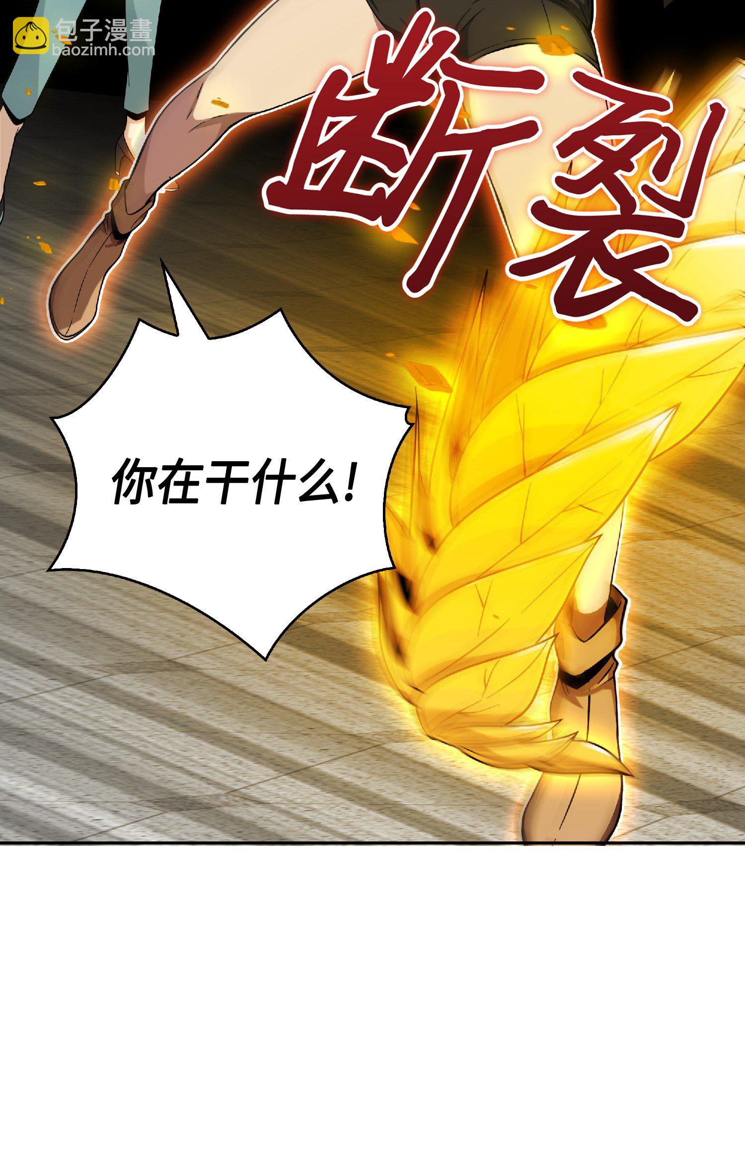 085 骗局的延续10