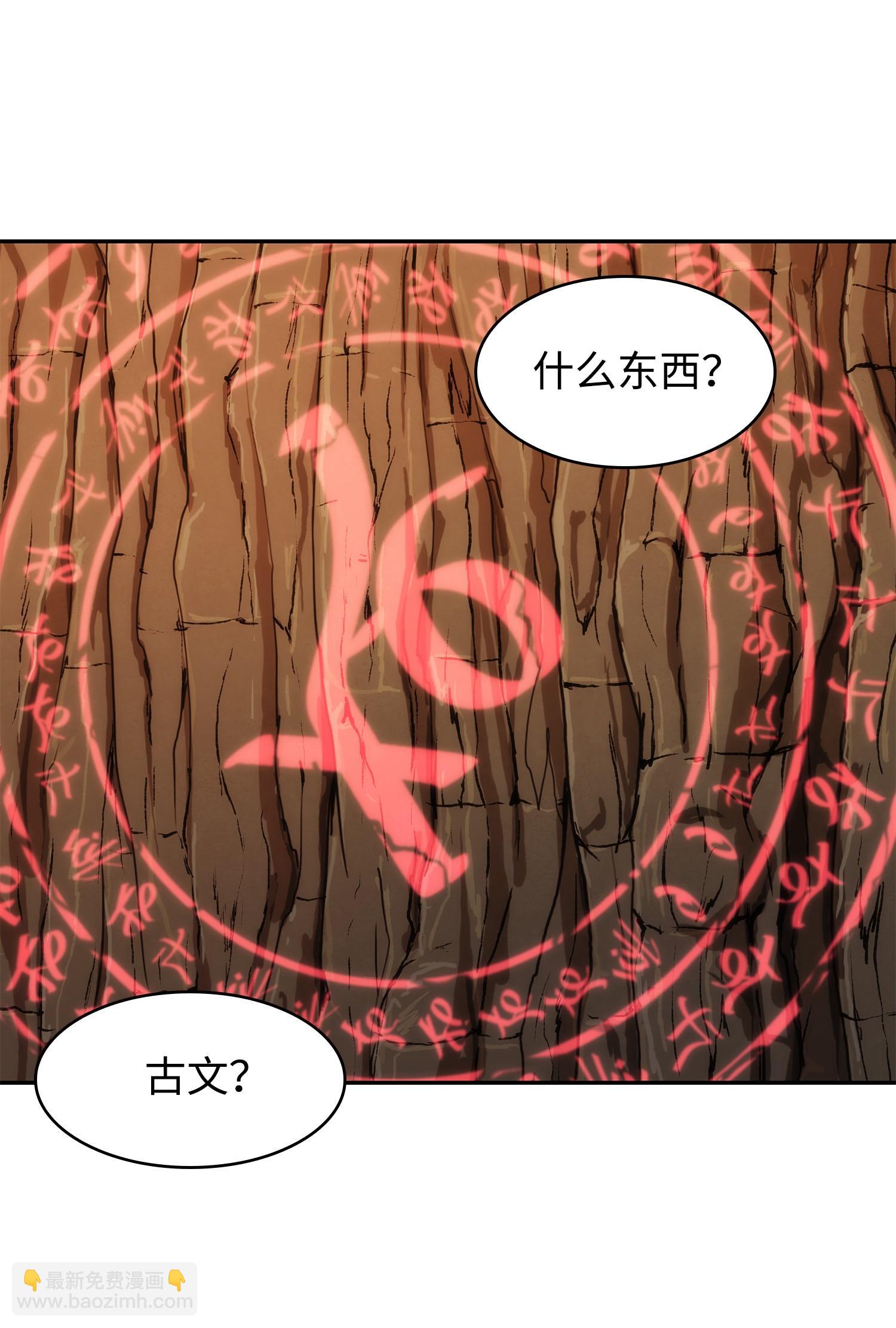244 乌鸦51