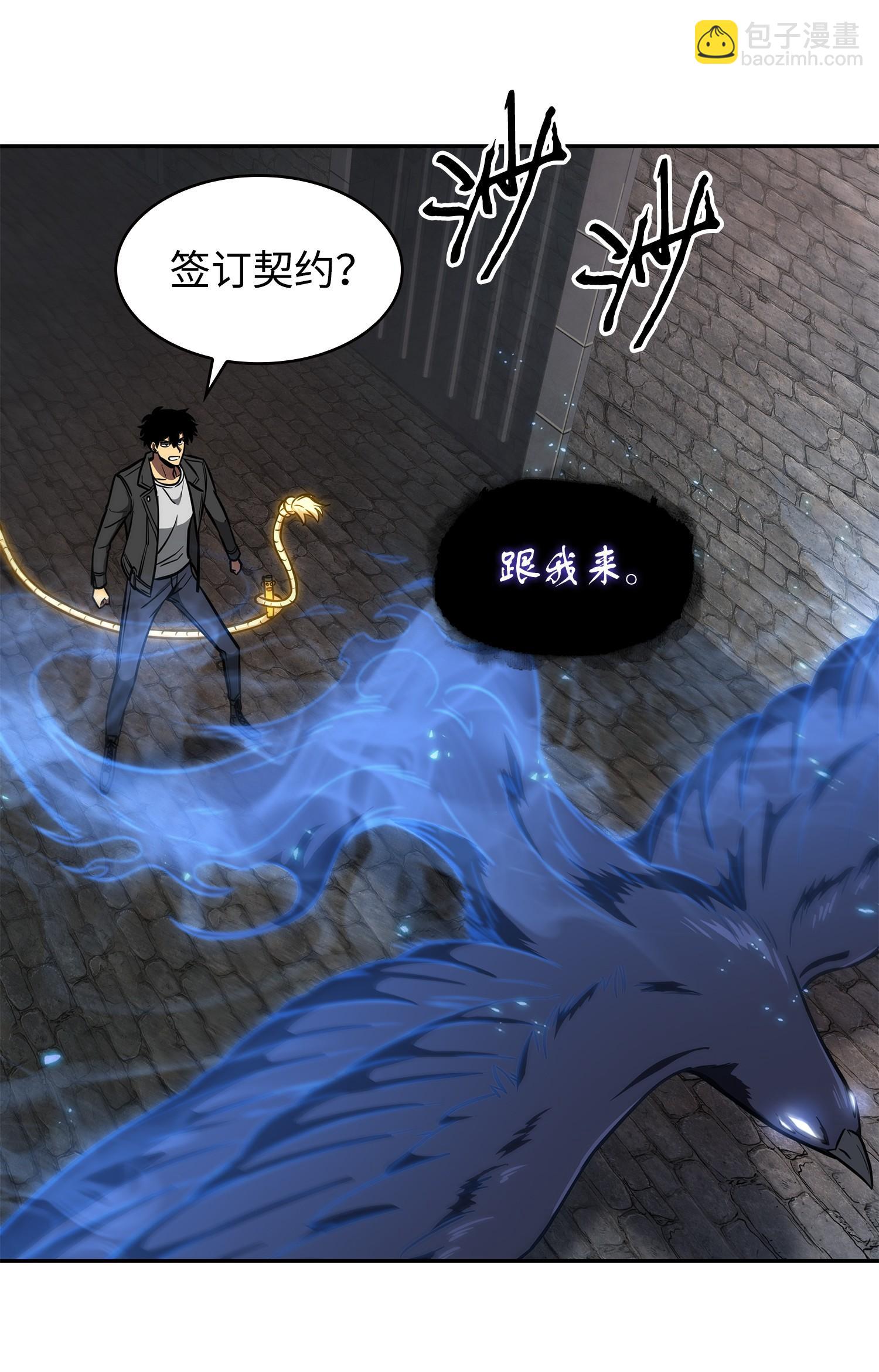 244 乌鸦61