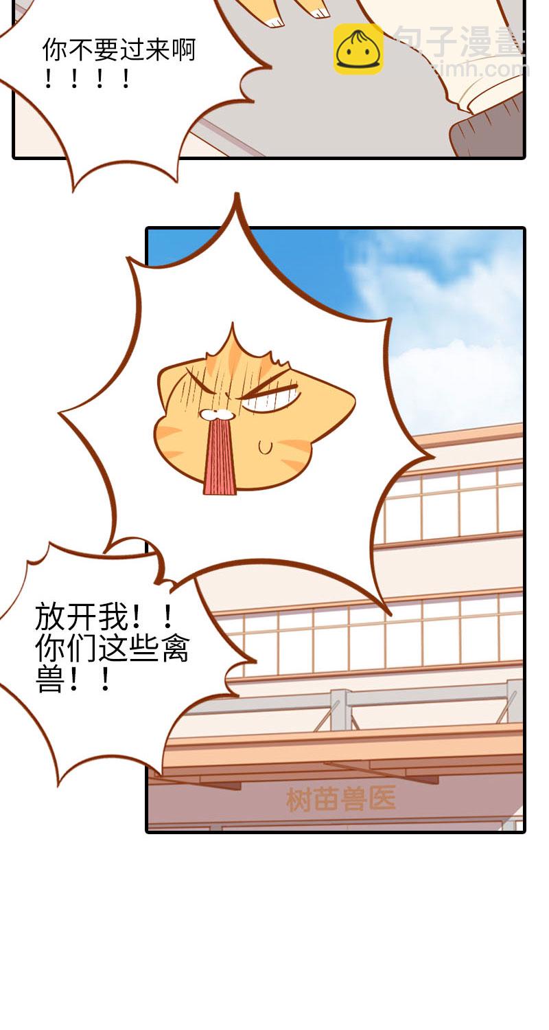 第18话 宠物医院初体验5