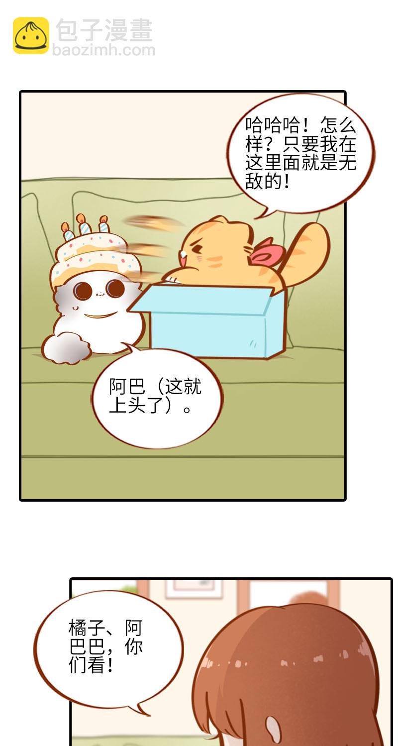 第33话 许个愿吧~1