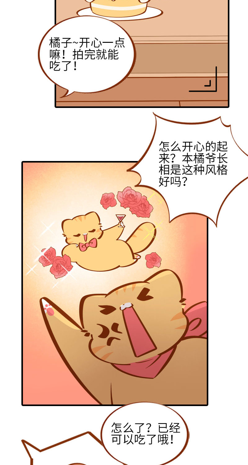 第33话 许个愿吧~5