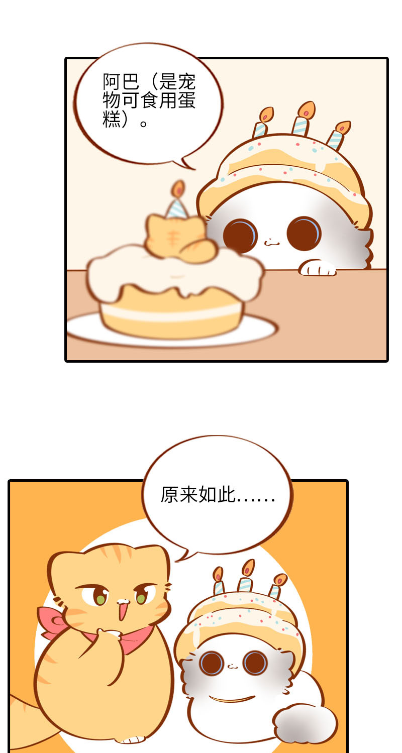 第33话 许个愿吧~7