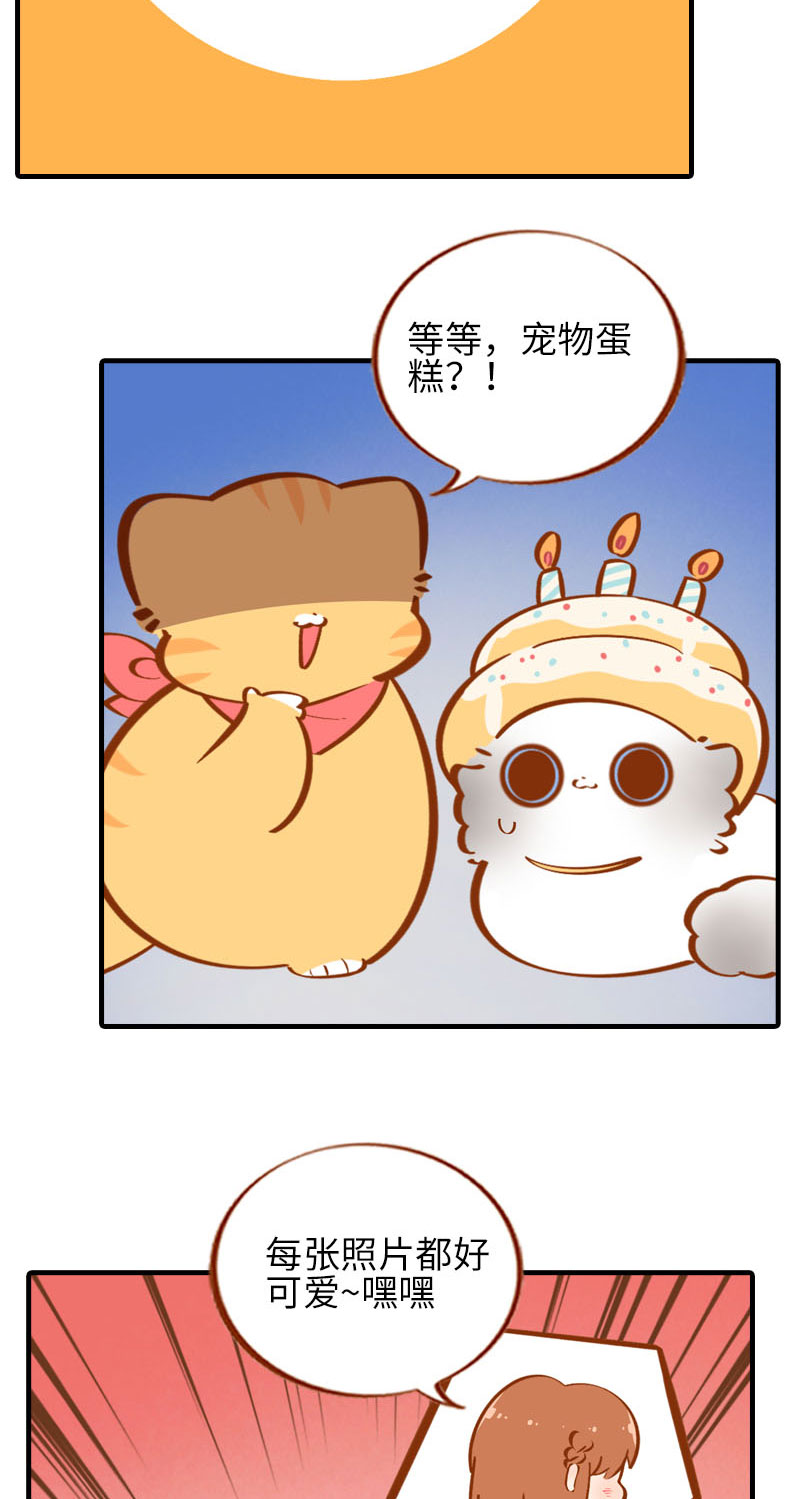 第33话 许个愿吧~8
