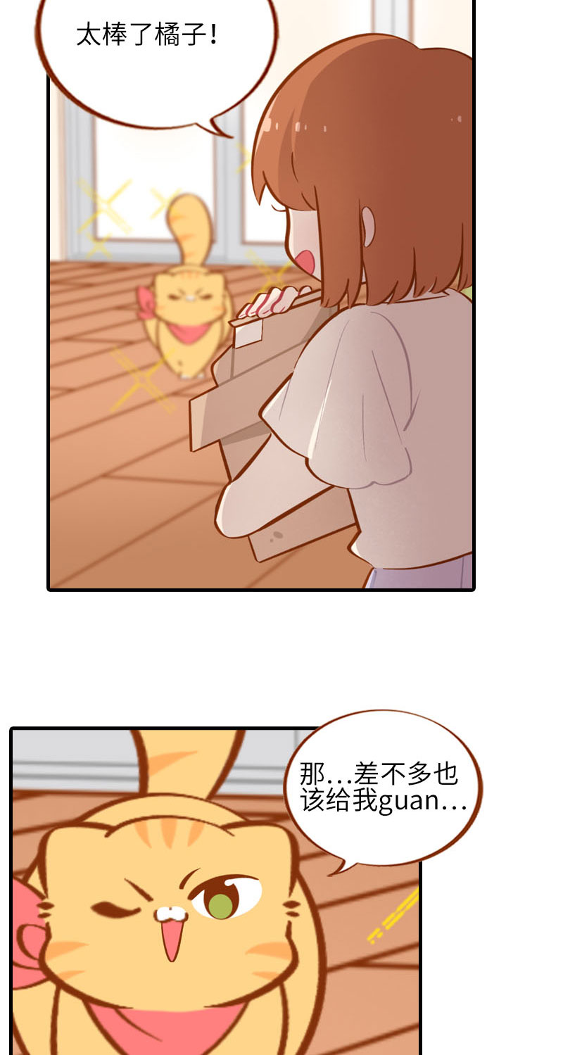 第37话 最没排面的男主人9