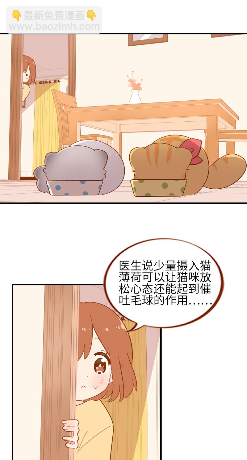 第46话 来一口猫薄荷1