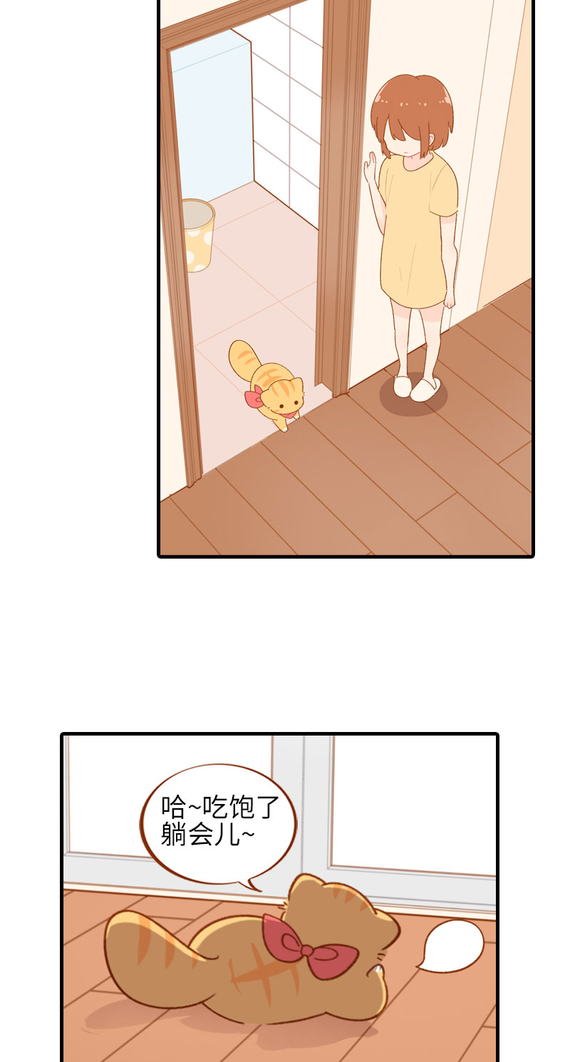 第46话 来一口猫薄荷4