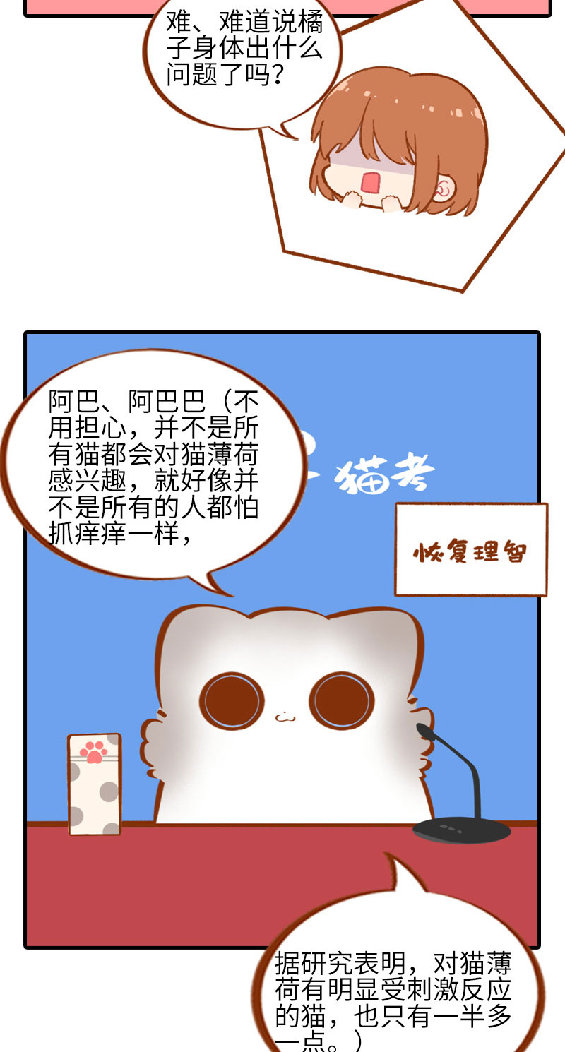 第46话 来一口猫薄荷8