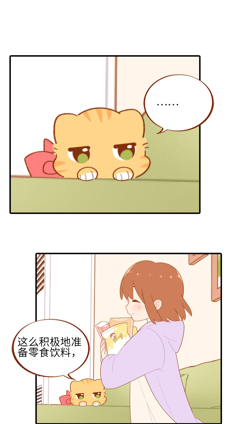 第55话 短腿团子来家做客！1