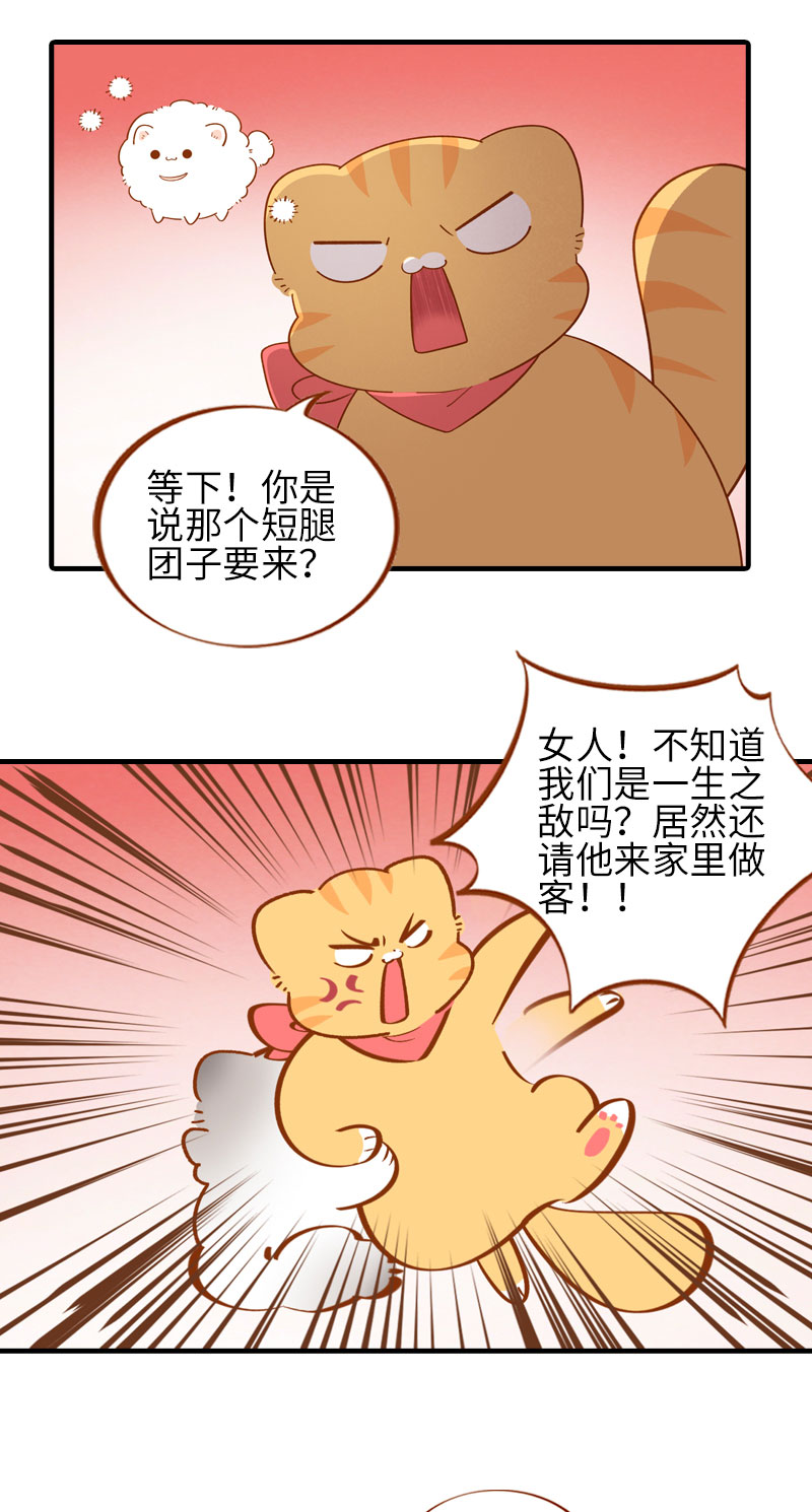 第55话 短腿团子来家做客！4