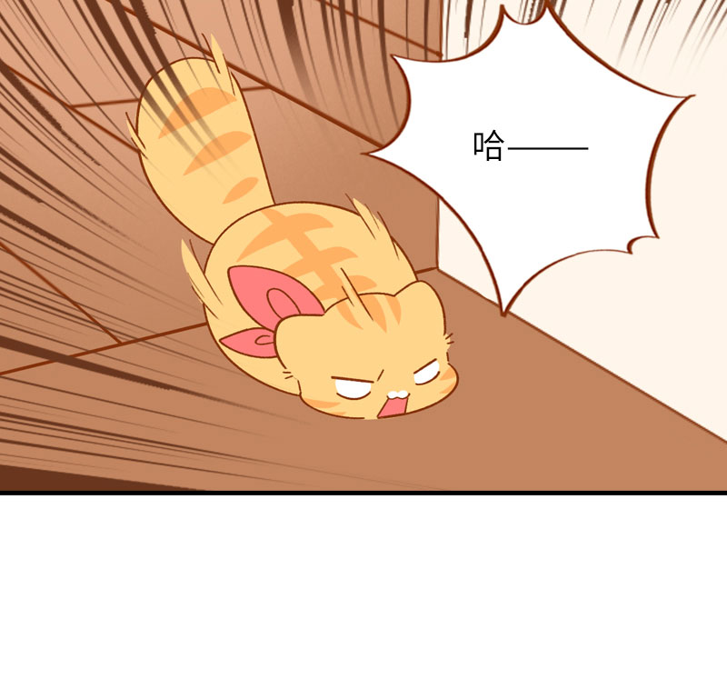 第55话 短腿团子来家做客！6