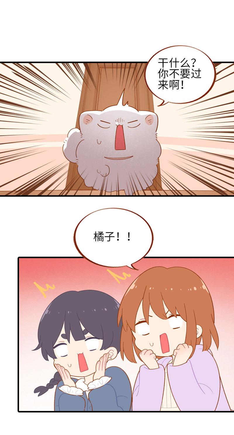 第55话 短腿团子来家做客！7