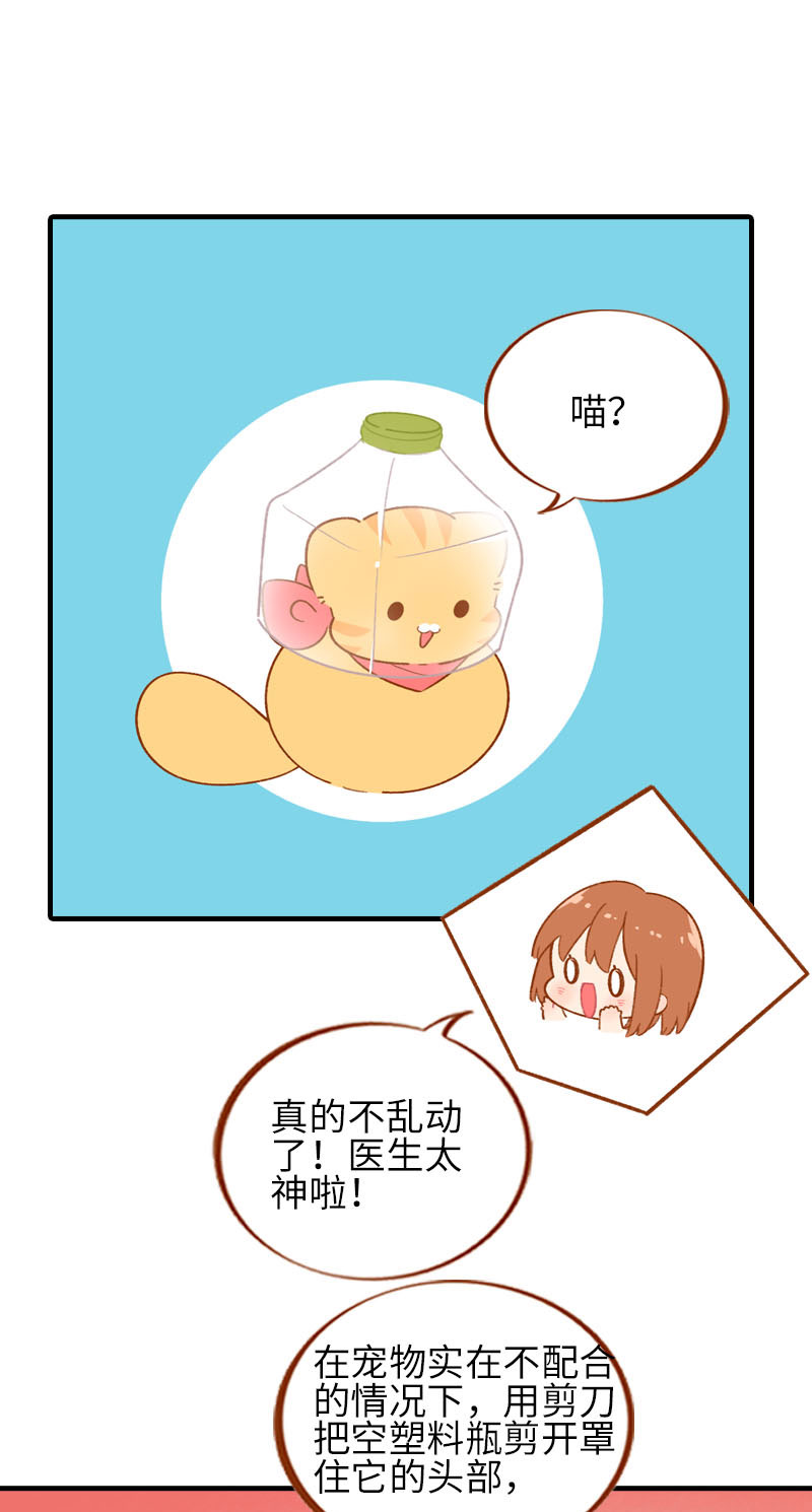 第56话 任人宰割的小猫咪5
