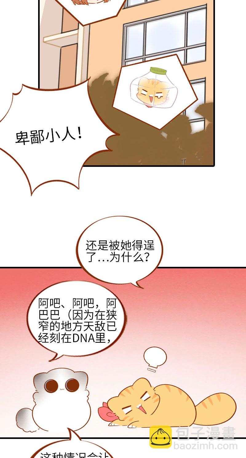 第56话 任人宰割的小猫咪8