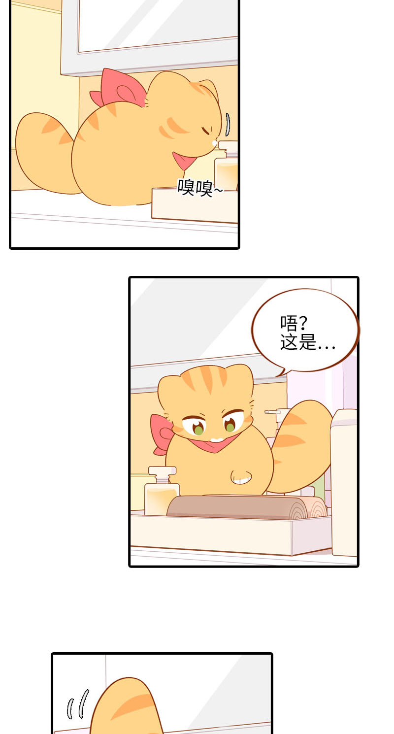 第58话 橘子和阿巴巴风格转换！4