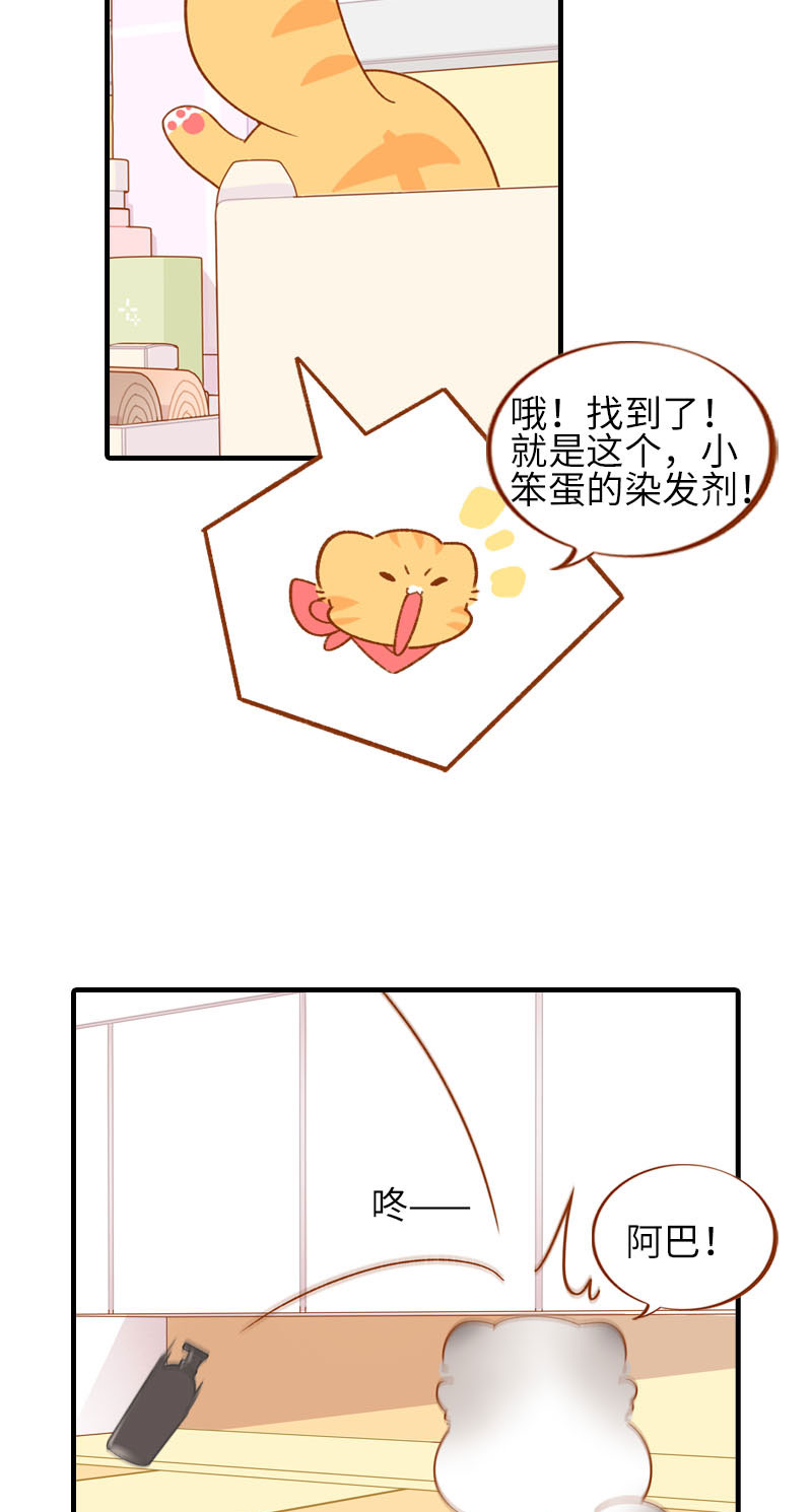 第58话 橘子和阿巴巴风格转换！5