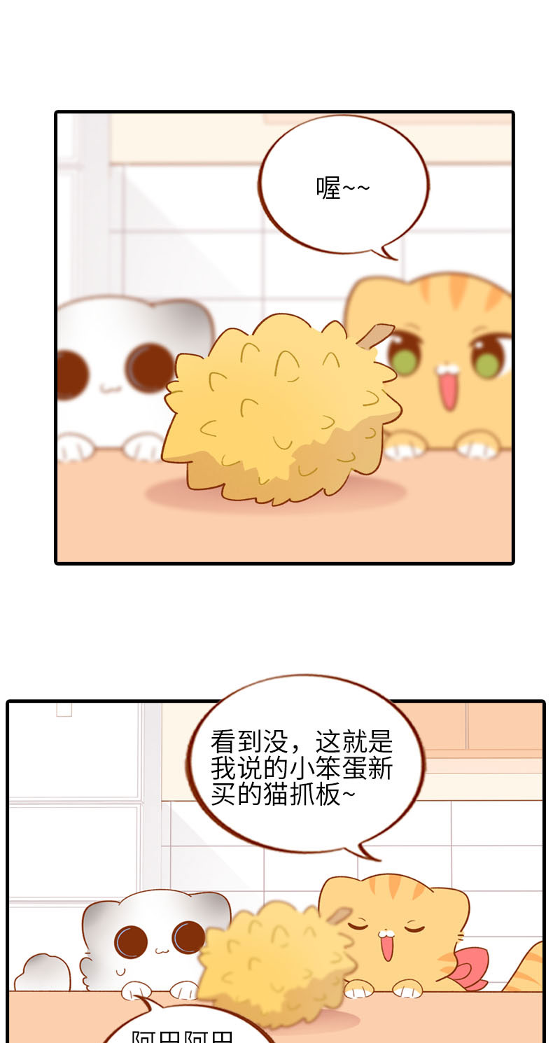 第59话 来口榴莲1