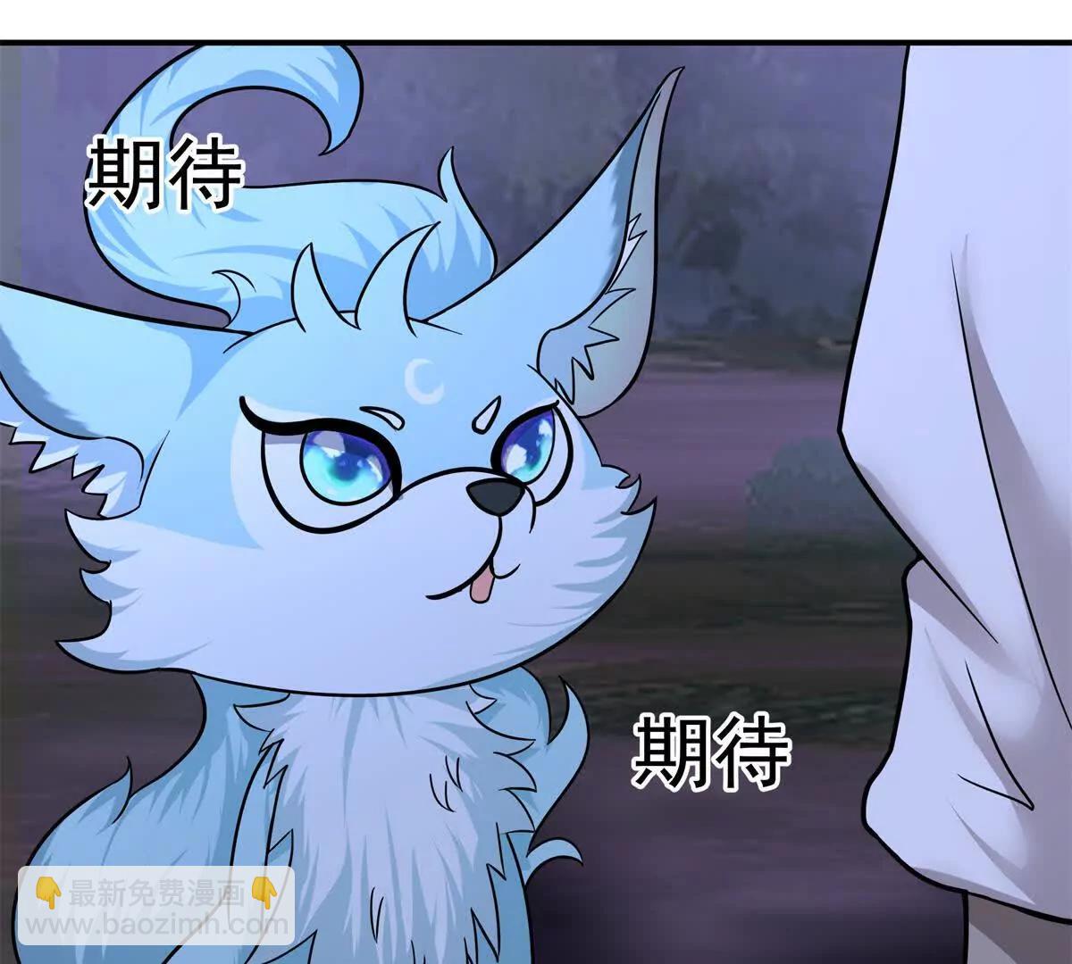14 九阶焰尾38