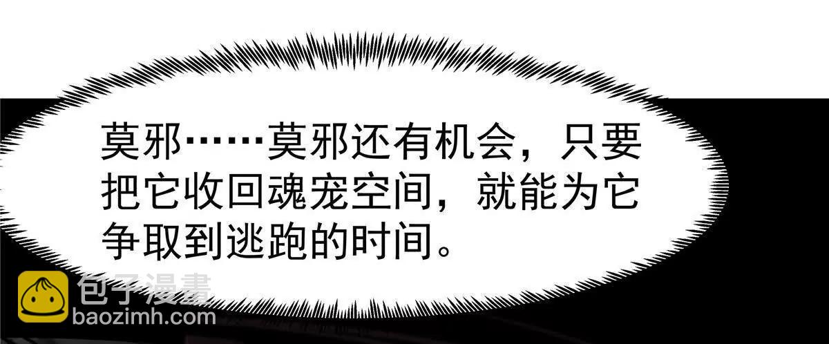 25 魂宠暗影41