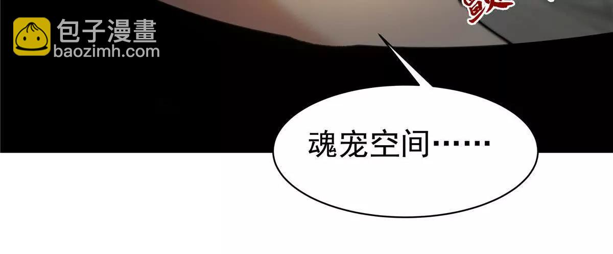 25 魂宠暗影43