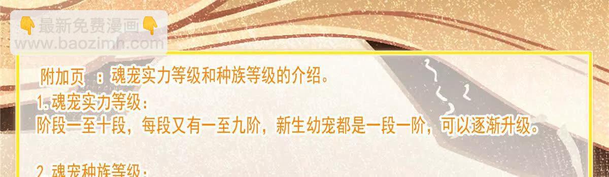 25 魂宠暗影99