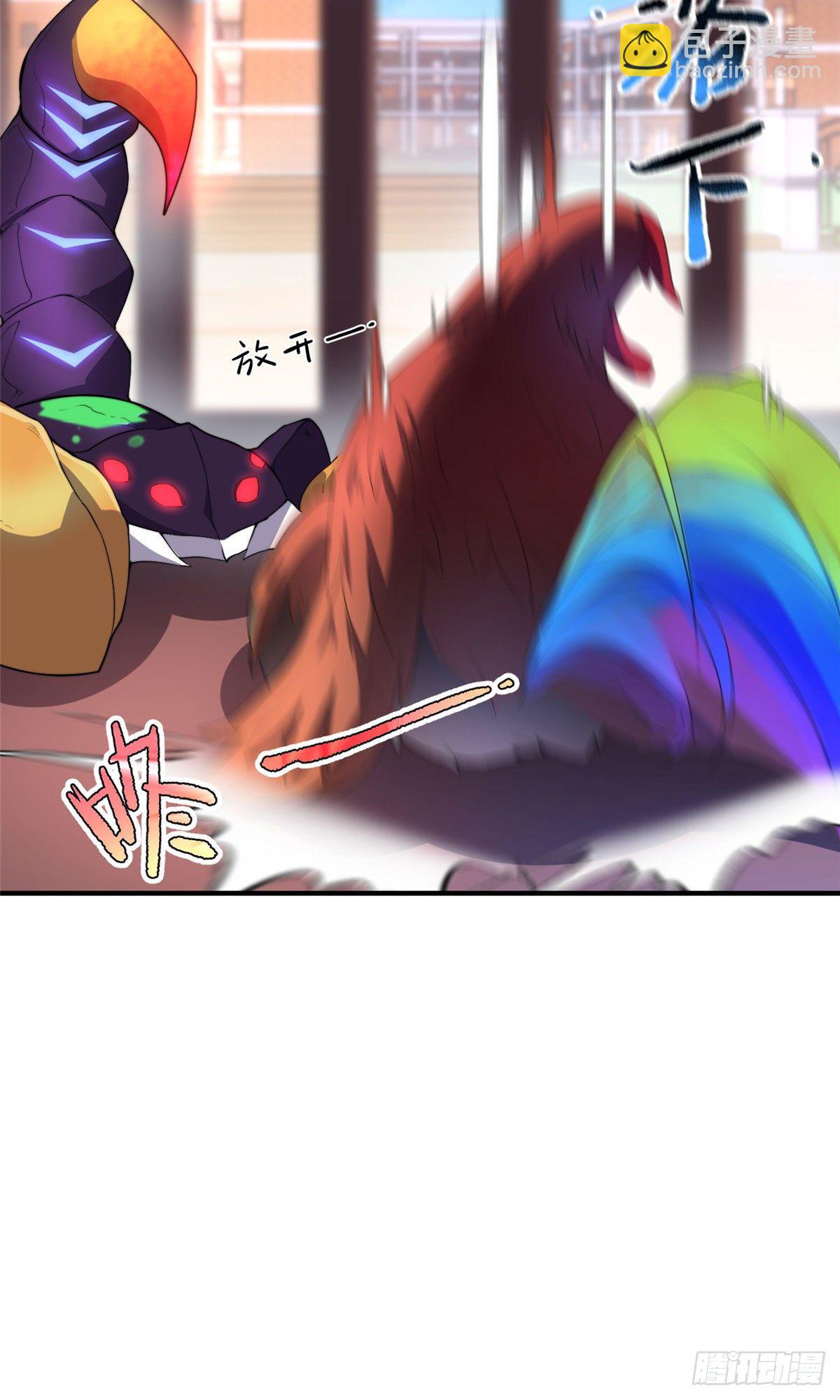 029 紫背雷蜈VS紫金蝎10
