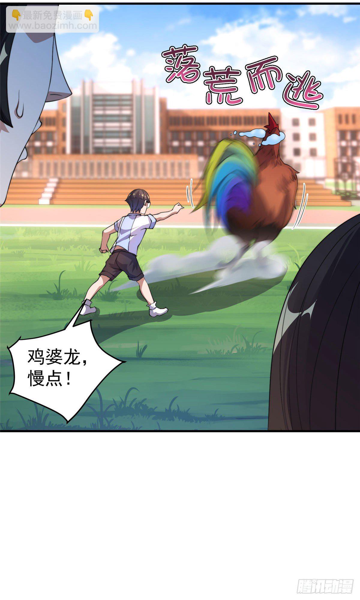 029 紫背雷蜈VS紫金蝎11