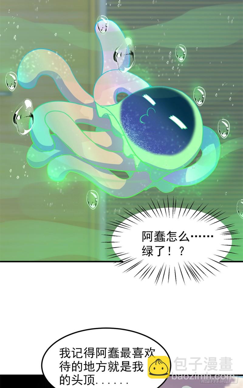 050 我的帽子进化了25