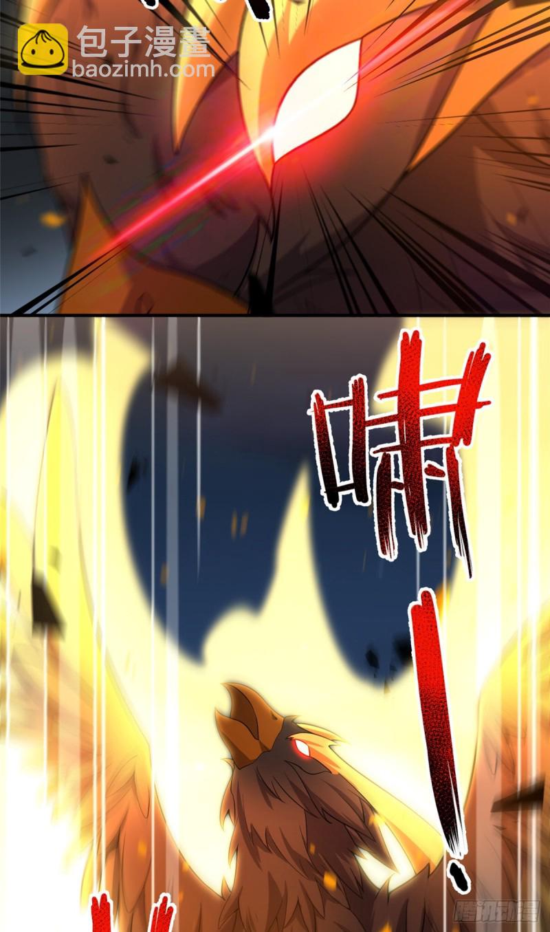 051 纪寒武28