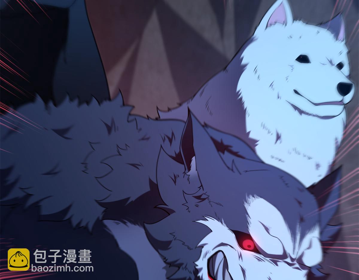 276 三头傻狗11
