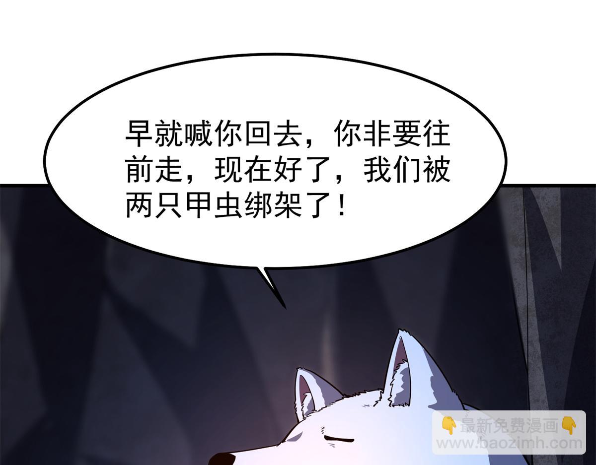 276 三头傻狗115