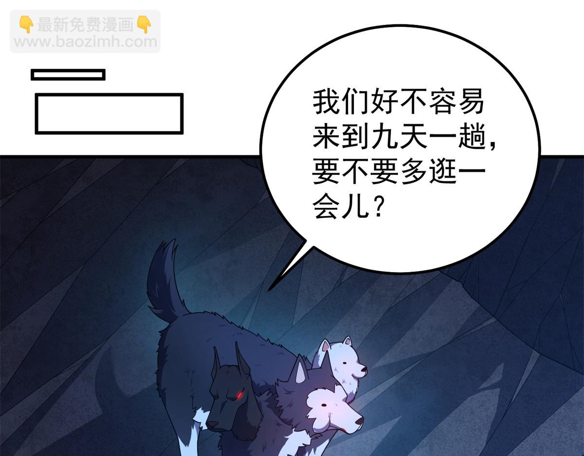 276 三头傻狗32