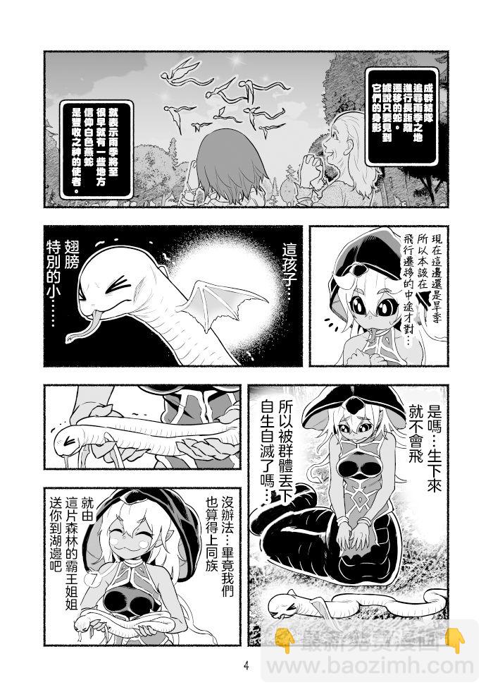 第3卷13