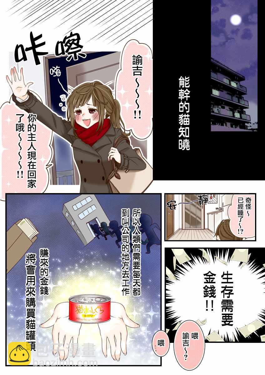能干的猫 彩版番外2