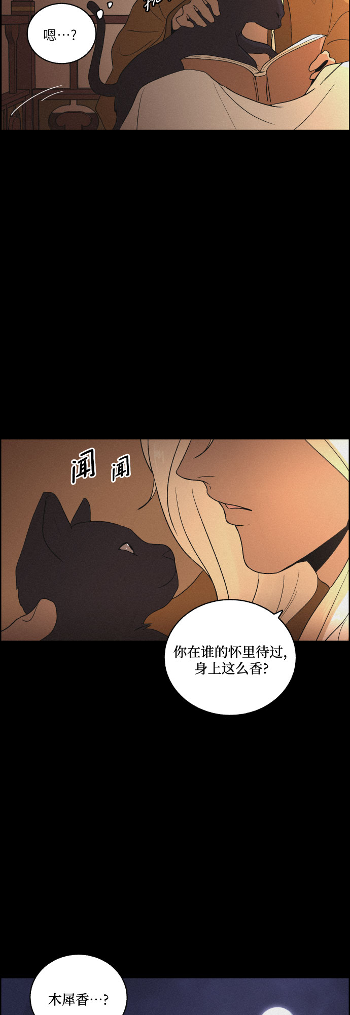 [第27话] 爱情的代价（2）2