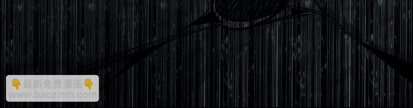 猛虎31
