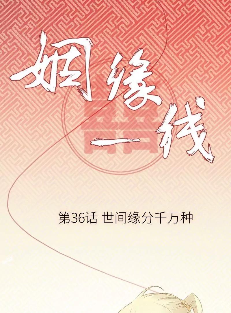 第36话 世间缘分千万种0