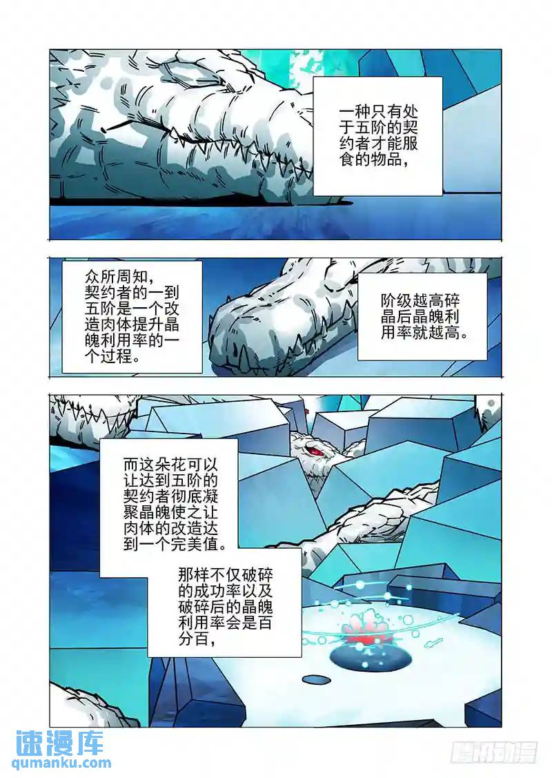 绝望深渊篇33：完美碎晶之花14