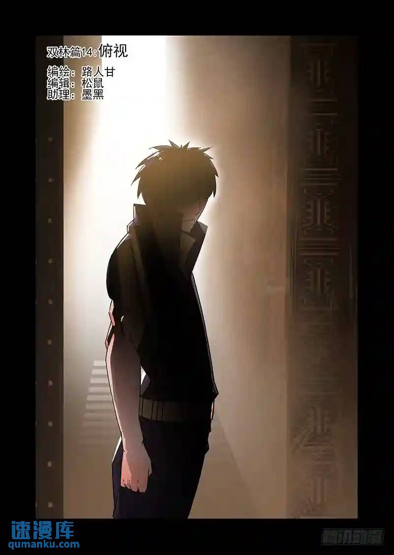 双林篇14：俯视0