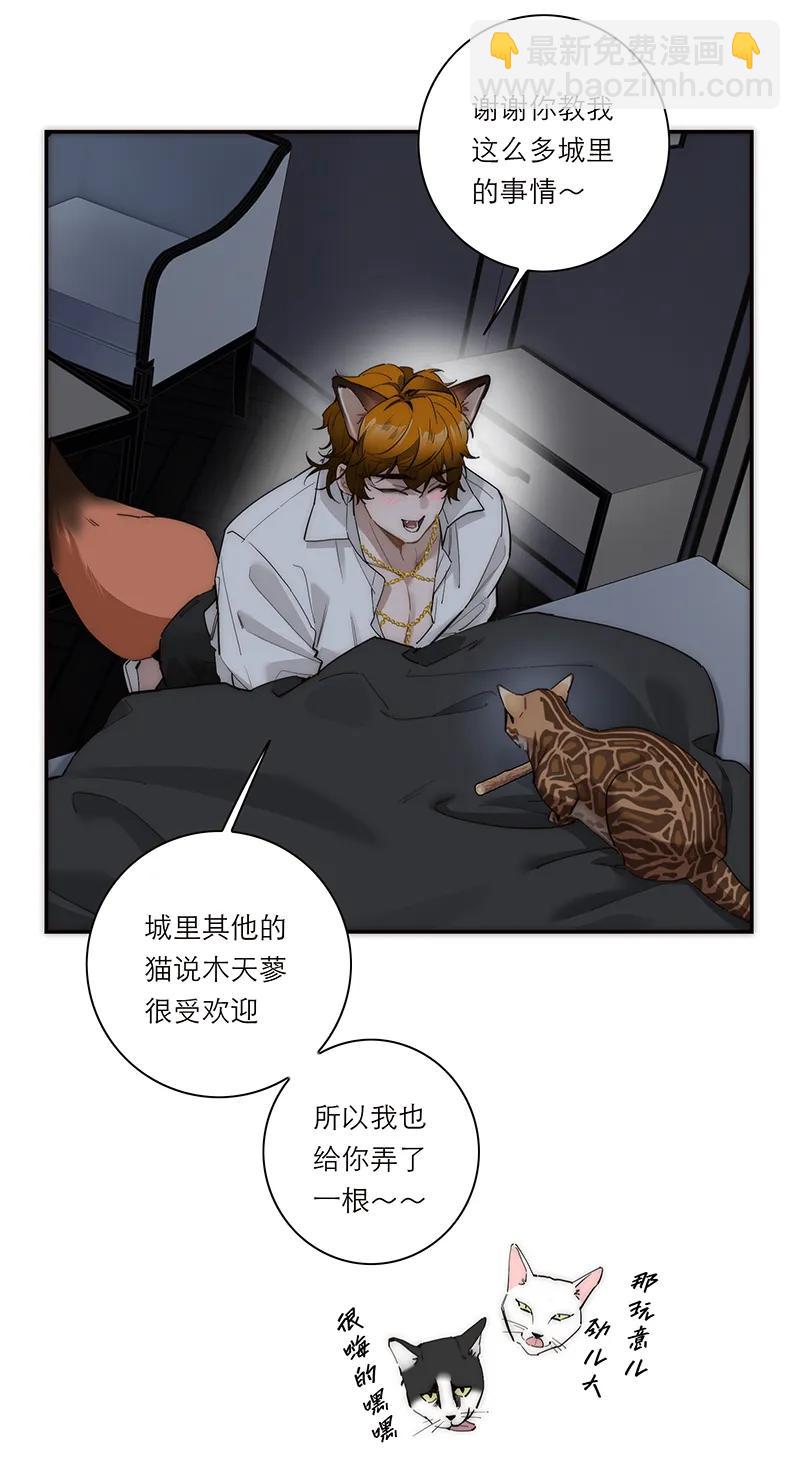 031 恩公怎么了？36