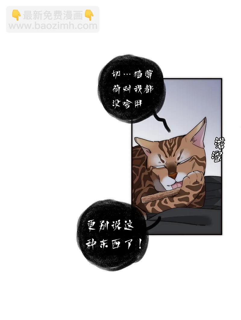 031 恩公怎么了？37
