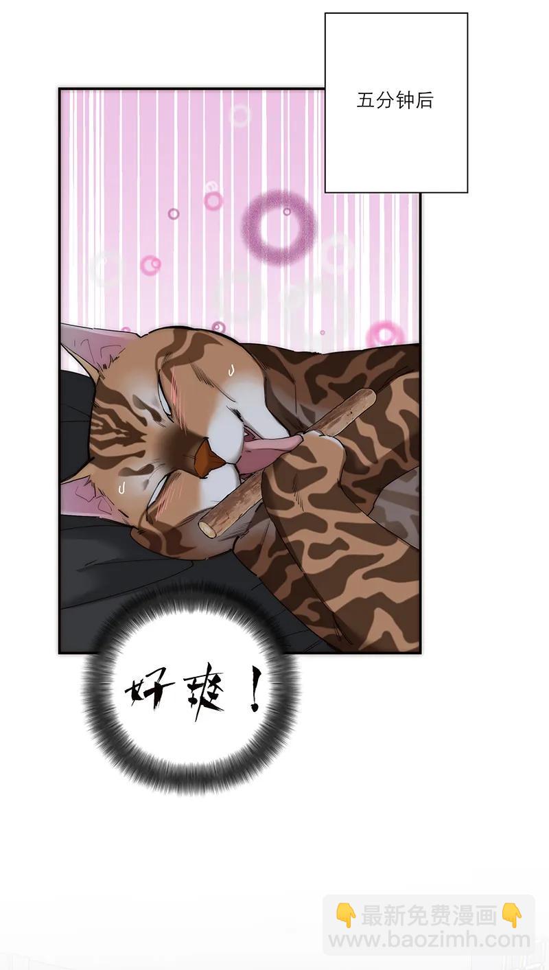 031 恩公怎么了？38