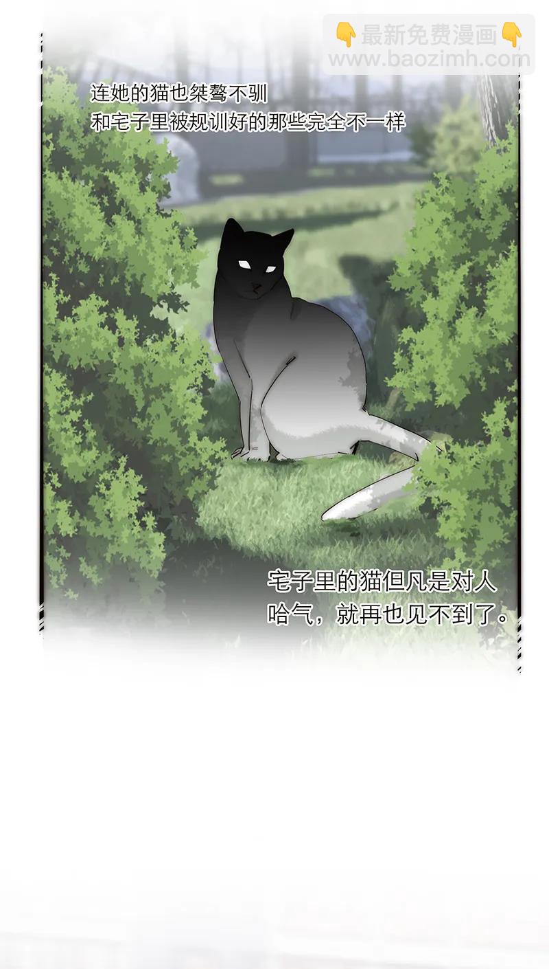 036 好用的玩具18