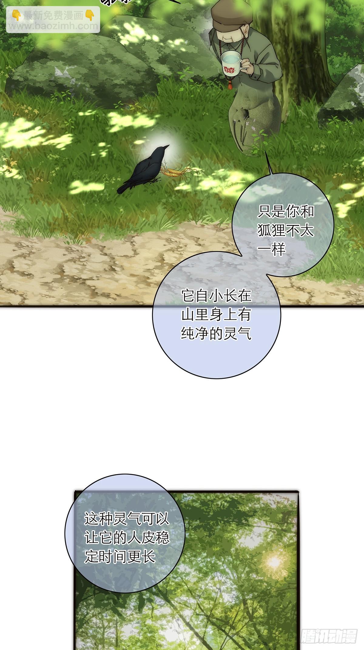 043 乌鸦还乡18